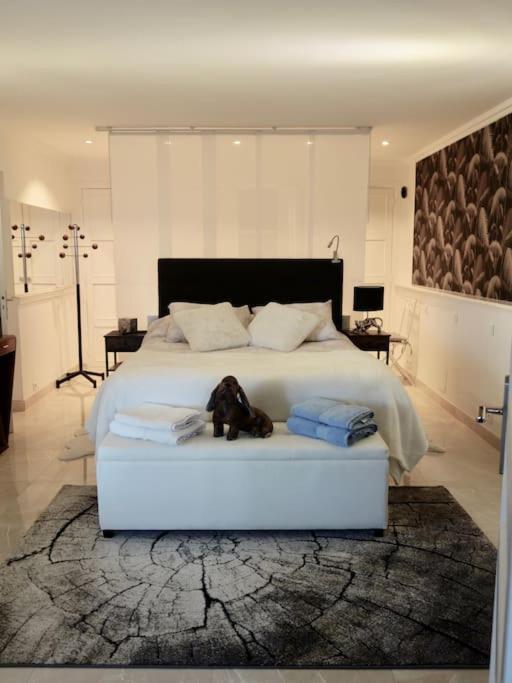 Elegant-Cosy 2P55M2 Dans Bas De Villa Provencale ! Villeneuve-Loubet Extérieur photo