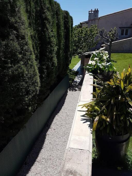 Elegant-Cosy 2P55M2 Dans Bas De Villa Provencale ! Villeneuve-Loubet Extérieur photo